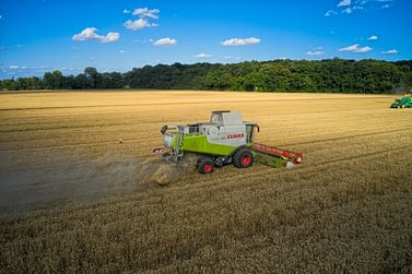 Claas Mähdrescher mit einem Storch